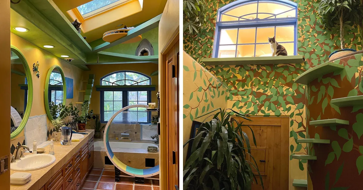 Este hombre diseñó la casa perfecta para sus más de 20 gatos rescatados