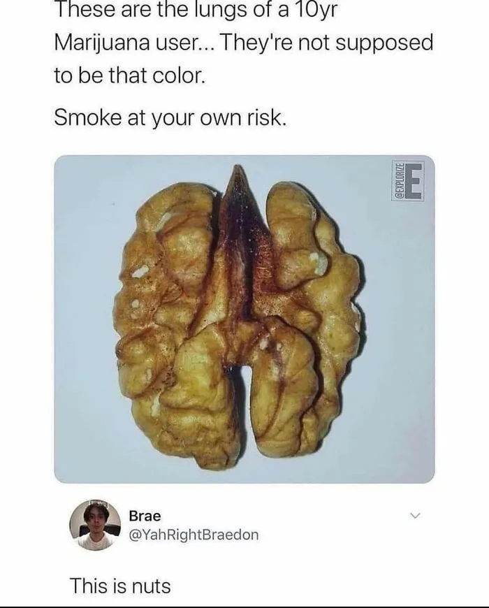 Nuts!