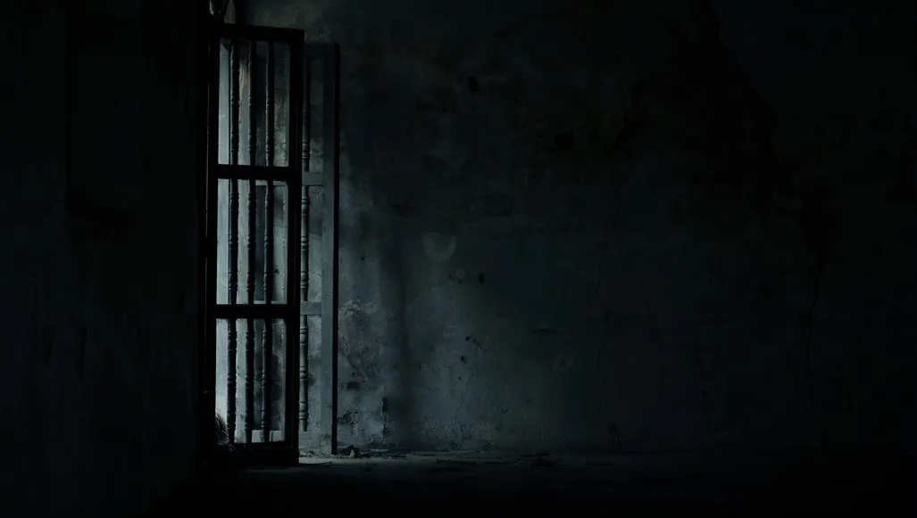 Stupid Character Reactions In Horror Movies That In Real Life You’d Probably Have Too