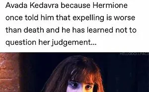 This Online Group Shares Funny Memes That Fans Of Harry Potter Might Enjoy, Here Are 30 Of The Best