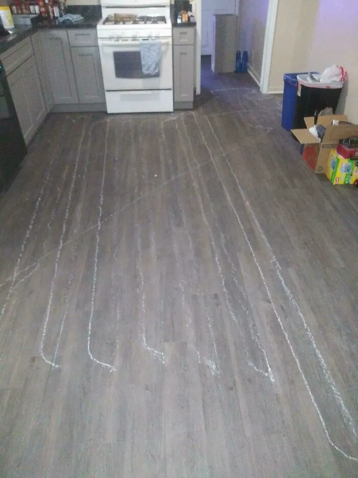 Estoy haciendo una reforma y mi Roomba encontró un pequeño trozo de yeso