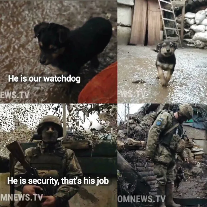 Here's 50 Important Things That Have Happened Since Putin Decided To Unleash Hell On Ukraine