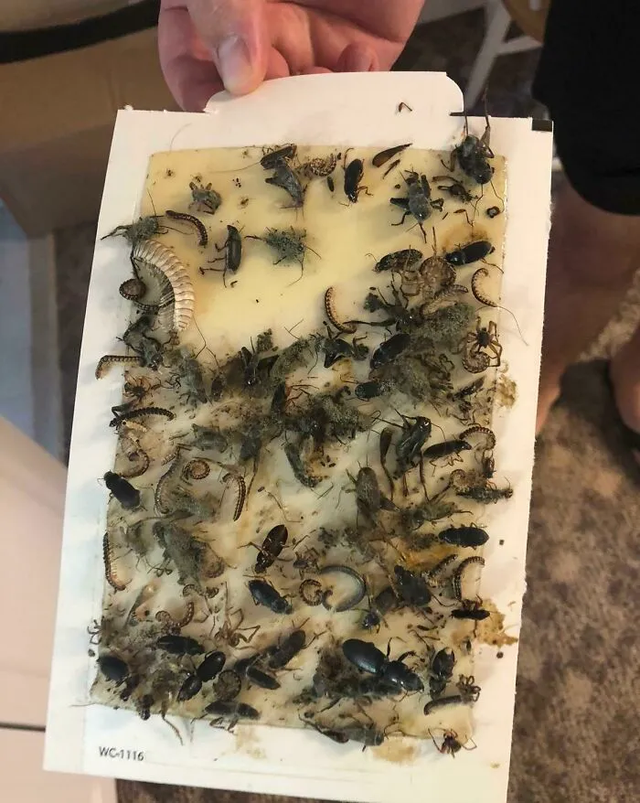 Encontré esto bajo una mesa de servicio en una casa antigua que estábamos renovando...