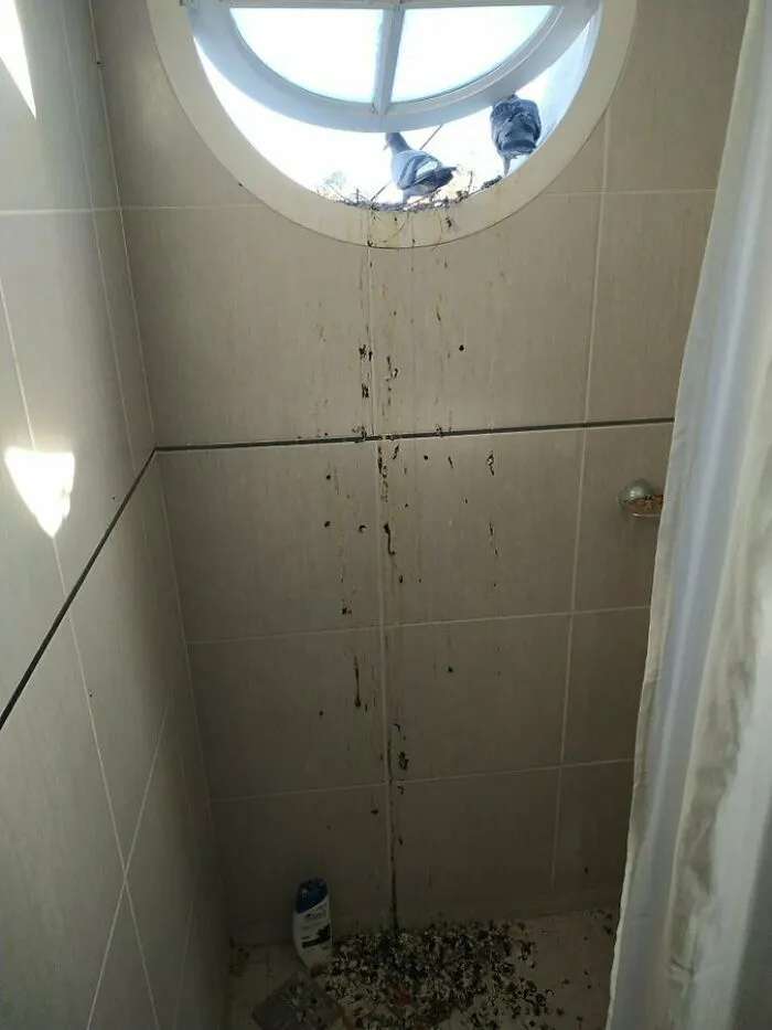 Después de unas semanas volví a mi apartamento