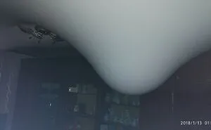 "Well, That Sucks": 30 Times Really Unfortunate Things Happened To People's Homes (New Pics)