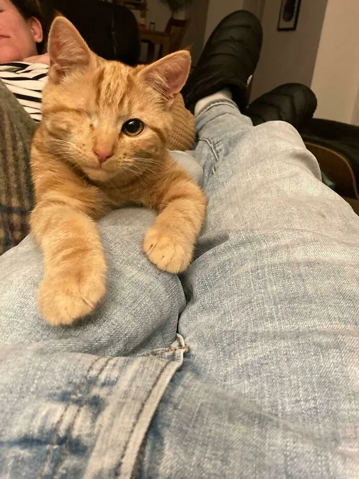 We Adopted Willy Today