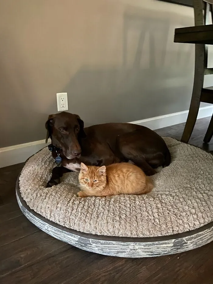 Django And Jack.