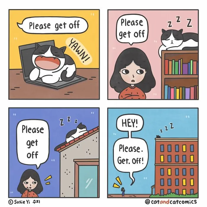 I Document My Life With A Cat In These 40 Comics