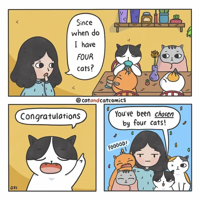 I Document My Life With A Cat In These 40 Comics