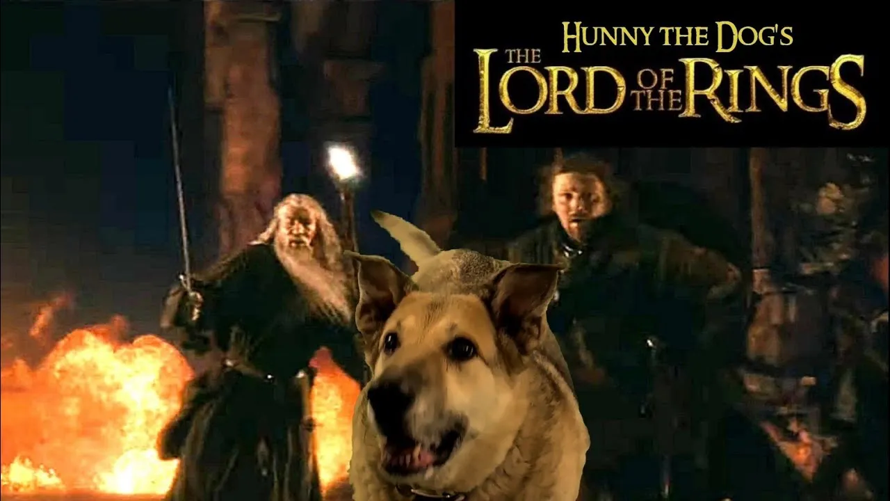 Lord Of The Rings With My Dog