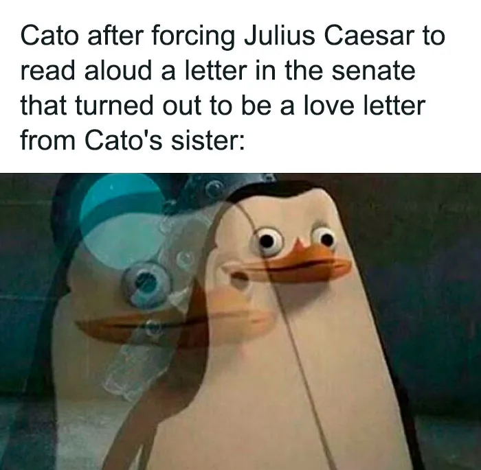 Penguin meme showing shocked reaction, illustrating one of the funniest and most accurate history memes shared online.