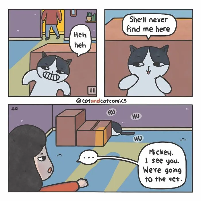 I Document My Life With A Cat In These 40 Comics
