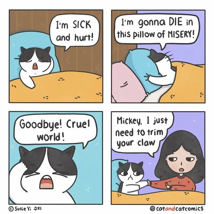 I Document My Life With A Cat In These 40 Comics