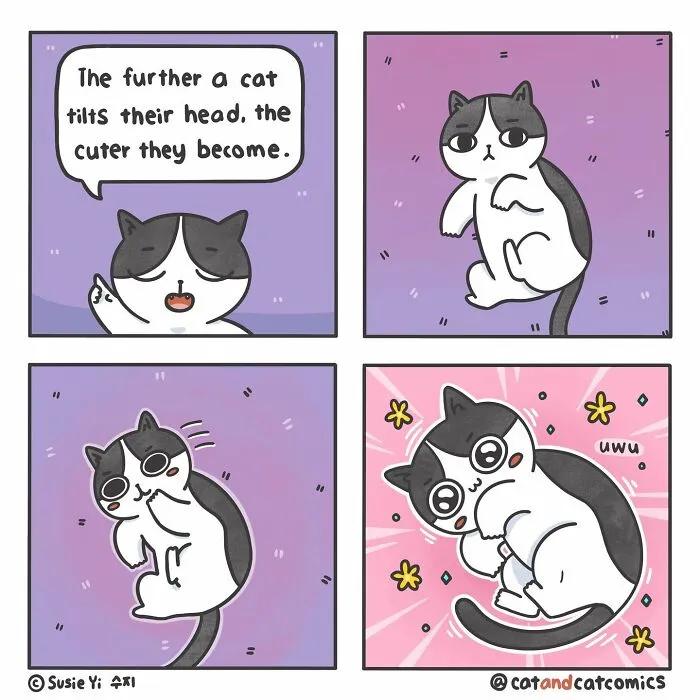 I Document My Life With A Cat In These 40 Comics