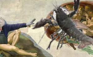 101 Y.O. Woman Is Photographed Throwing Away A Lobster Because It’s Too Small For Harvesting, And People Online Start Memeing It (30 Memes)