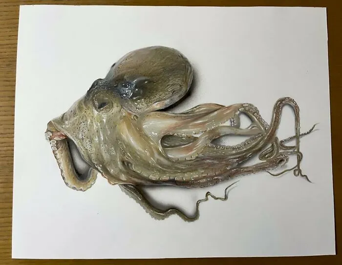 30 Drawings By This Japanese Artist That Look Like Optical Illusions
