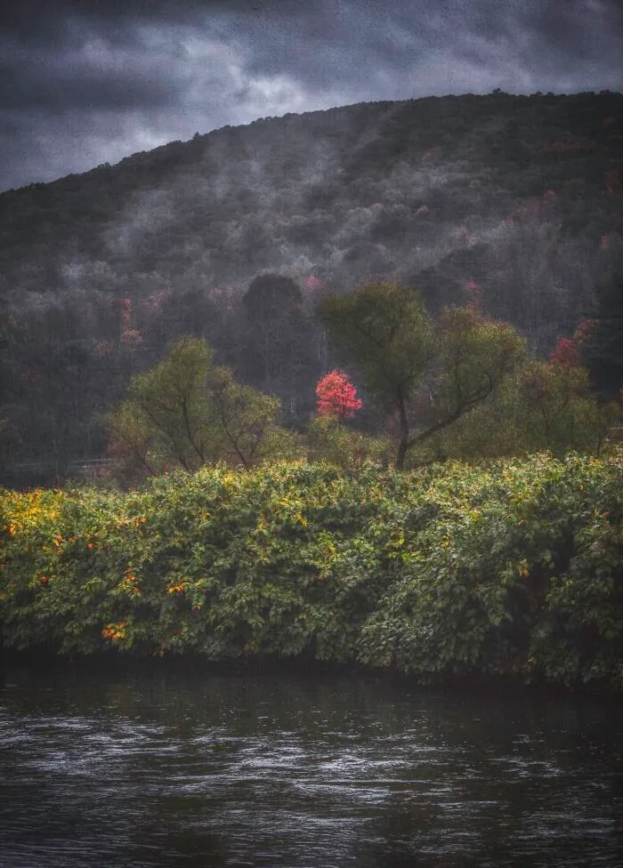 Early Morning, West Branch Of The Delaware River, Foothills Of The Catskills, Early Autumn.