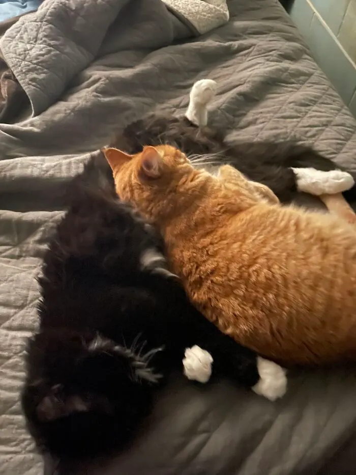 Keeping Warm