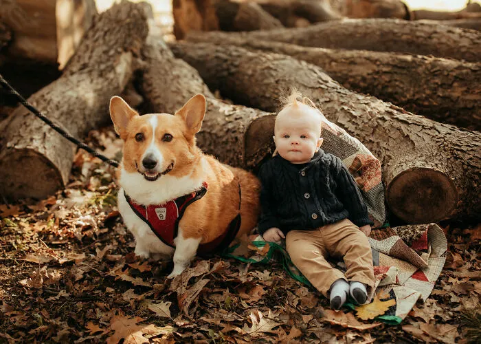 I Love It When Families Bring Their Pups To Their Photo Sessions And Here Are 18 Photographs I Took