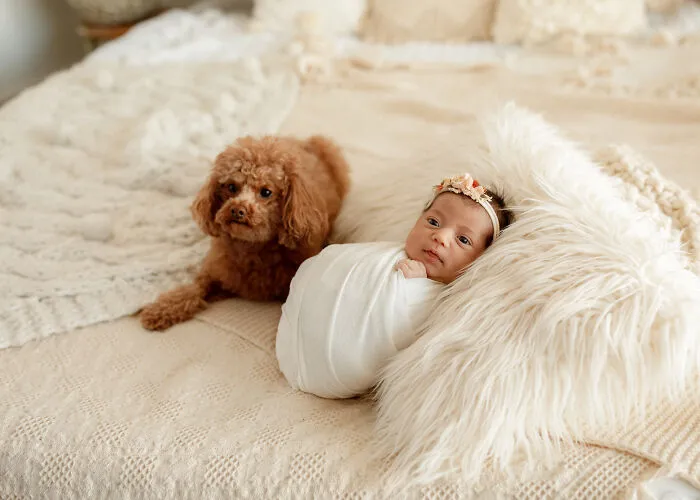 I Love It When Families Bring Their Pups To Their Photo Sessions And Here Are 18 Photographs I Took