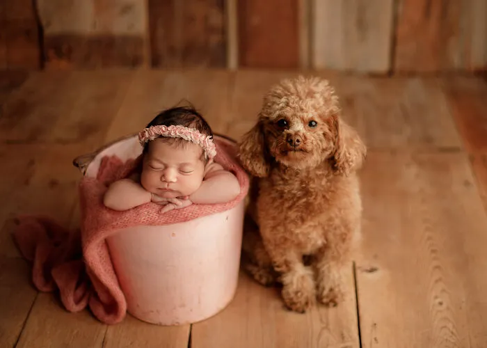 I Love It When Families Bring Their Pups To Their Photo Sessions And Here Are 18 Photographs I Took