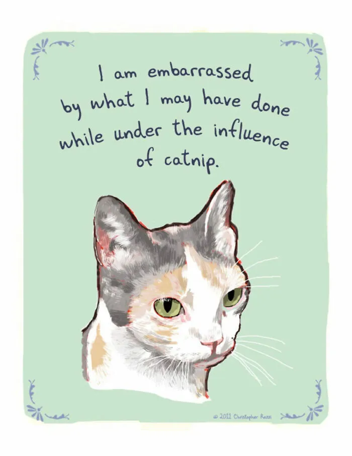 Artist Illustrates Honest Confessions From Pets, And Here Are The 30 Best Ones