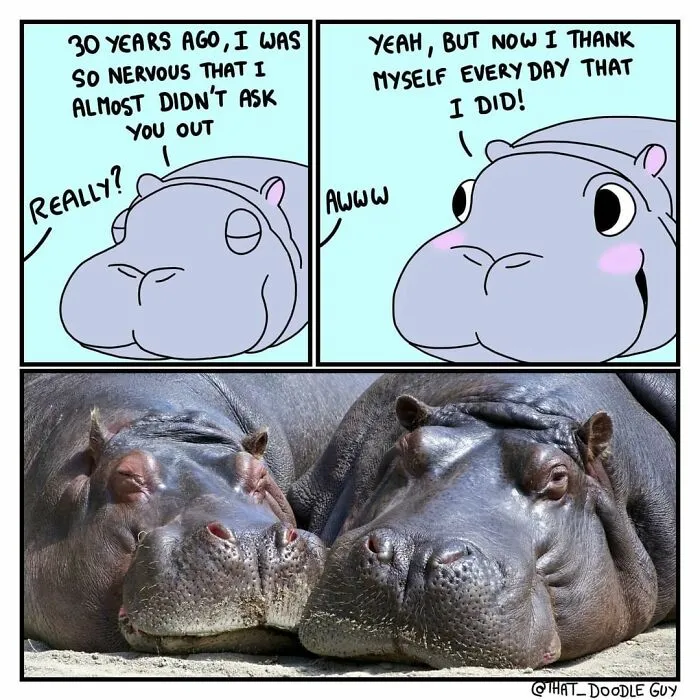 My 30 Wholesome Animal Comics About Love Might Just Be The Thing You Need For This Valentine’s Day