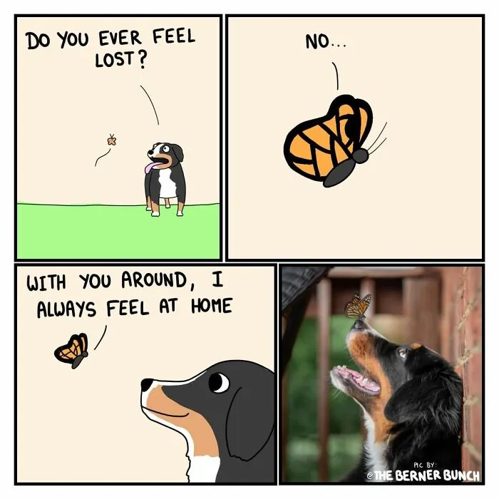 My 30 Wholesome Animal Comics About Love Might Just Be The Thing You Need For This Valentine’s Day
