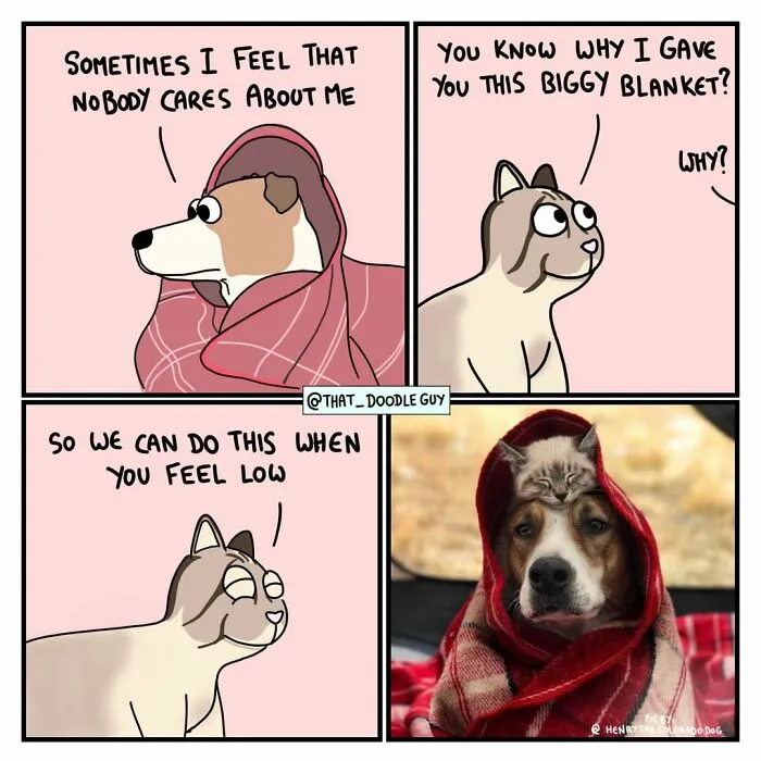 My 30 Wholesome Animal Comics About Love Might Just Be The Thing You Need For This Valentine’s Day