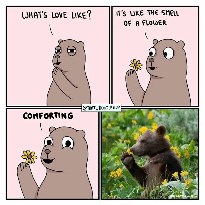 My 30 Wholesome Animal Comics About Love Might Just Be The Thing You Need For This Valentine’s Day