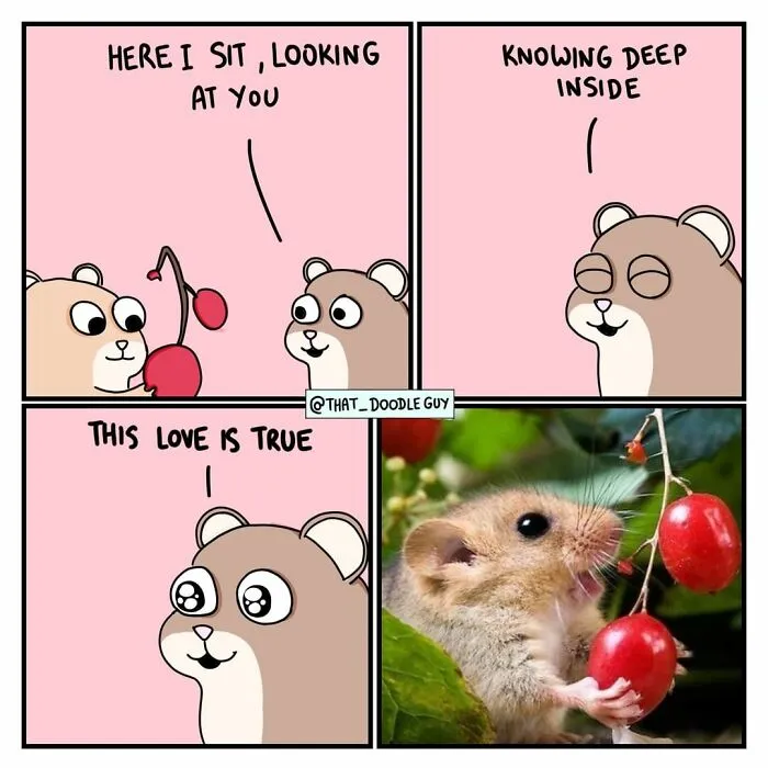 My 30 Wholesome Animal Comics About Love Might Just Be The Thing You Need For This Valentine’s Day