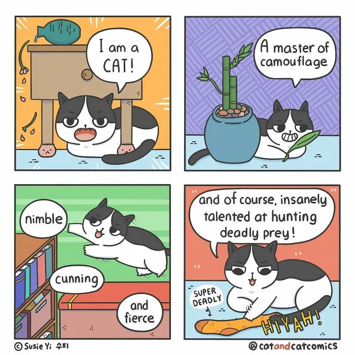 I Document My Life With A Cat In These 40 Comics