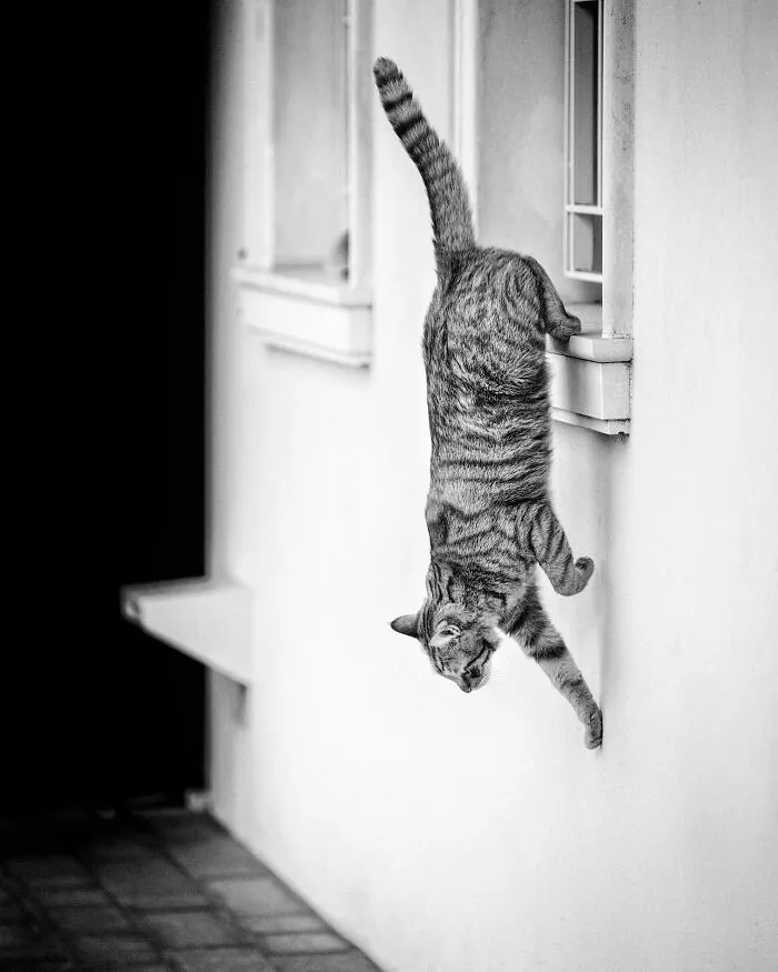 Downwards!