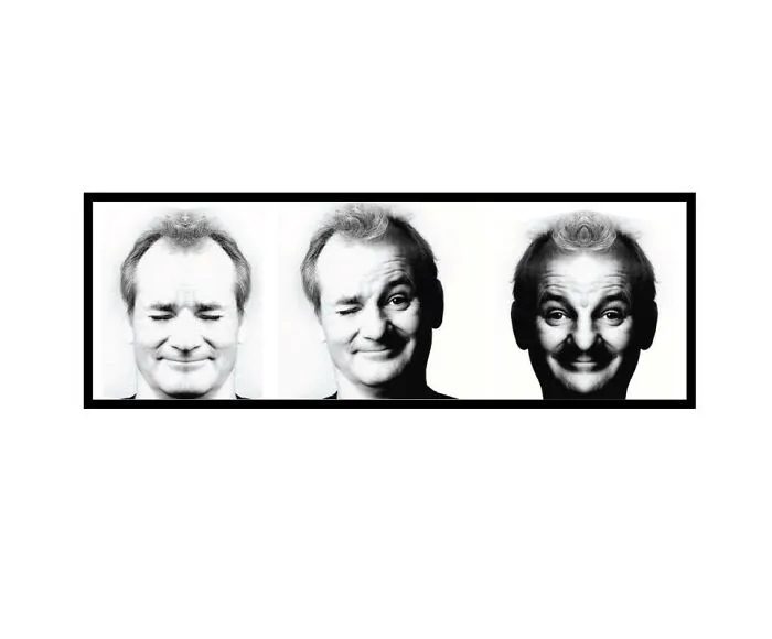 I Created Mirror Images Of Some Famous People (32 Pics)