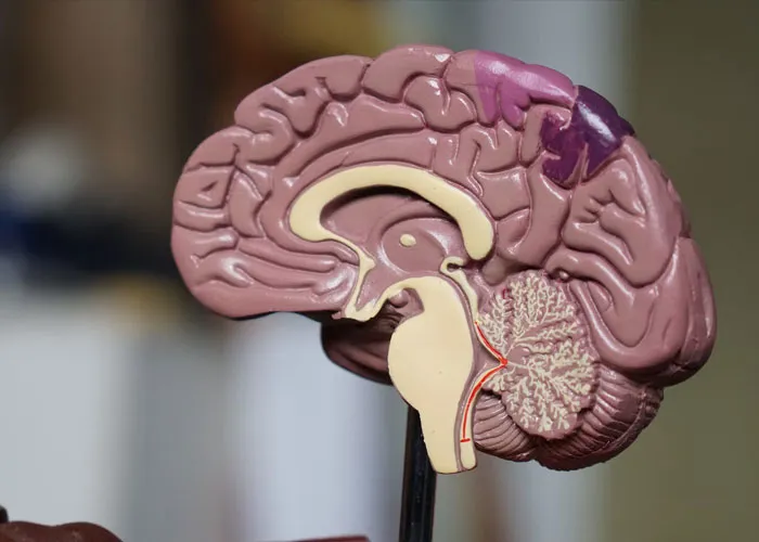'What Is A Scientific Fact That Absolutely Blows Your Mind?': People Share 35 Incredible Facts About Our World