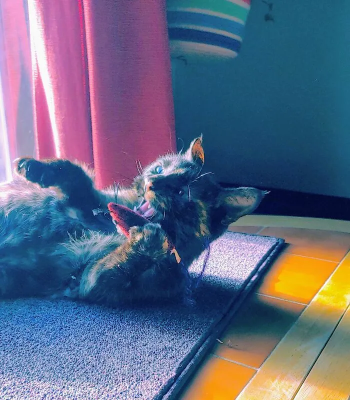 Sweet Girl