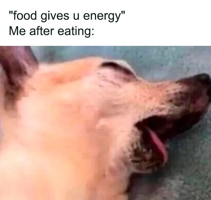 50 Funny Memes That Are All Too Relatable, Shared By This Instagram Page