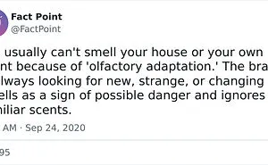 40 Interesting Facts About Practically Everything You Might Not Have Known, Shared By “Fact Point”