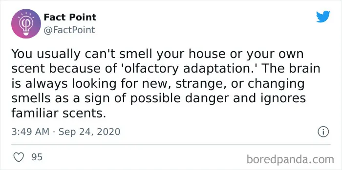 Interesting-Facts-Fact-Point