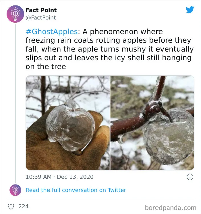 40 Interesting Facts About Practically Everything You Might Not Have Known, Shared By “Fact Point”