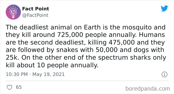 40 Interesting Facts About Practically Everything You Might Not Have Known, Shared By “Fact Point”