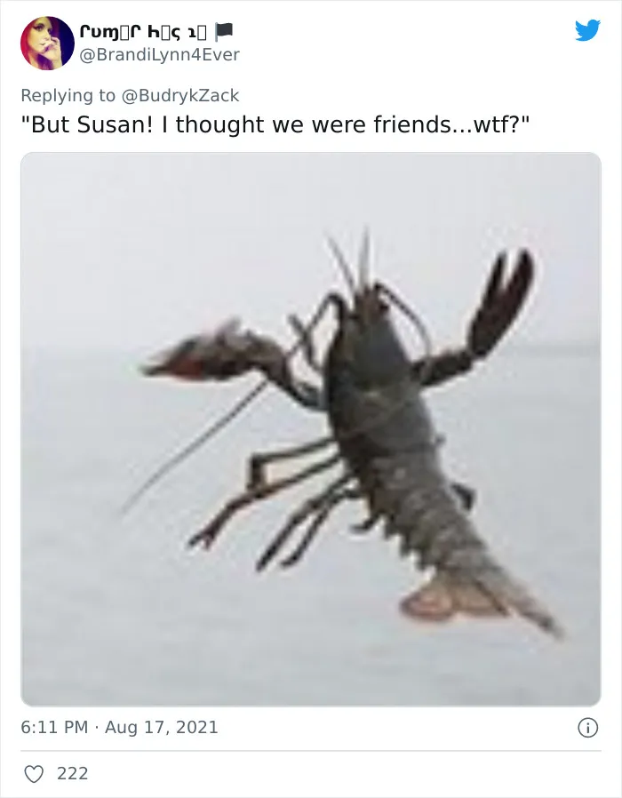 101 Y.O. Woman Is Photographed Throwing Away A Lobster Because It’s Too Small For Harvesting, And People Online Start Memeing It (30 Memes)