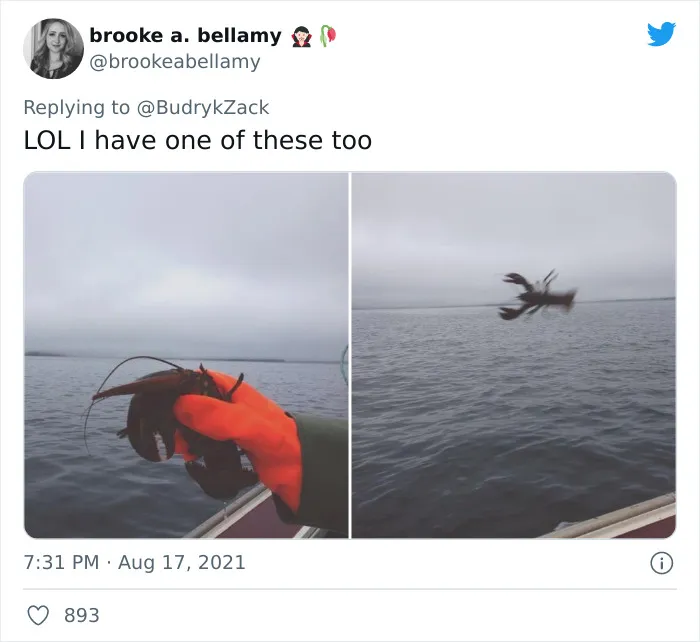 101 Y.O. Woman Is Photographed Throwing Away A Lobster Because It’s Too Small For Harvesting, And People Online Start Memeing It (30 Memes)