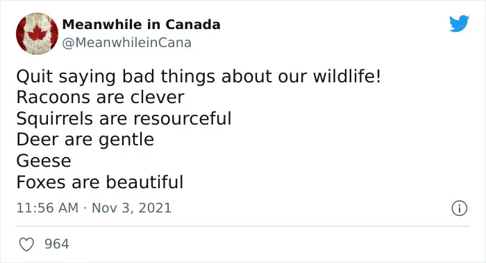 35 Canadian Memes That Are Making People Crack Up At The Country’s Stereotypes