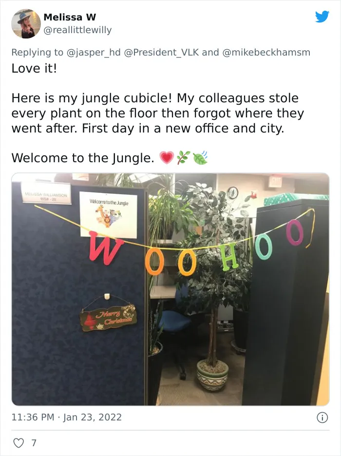 30 Times Staff Transformed Their Lifeless Office Cubicles Into Something Wonderful