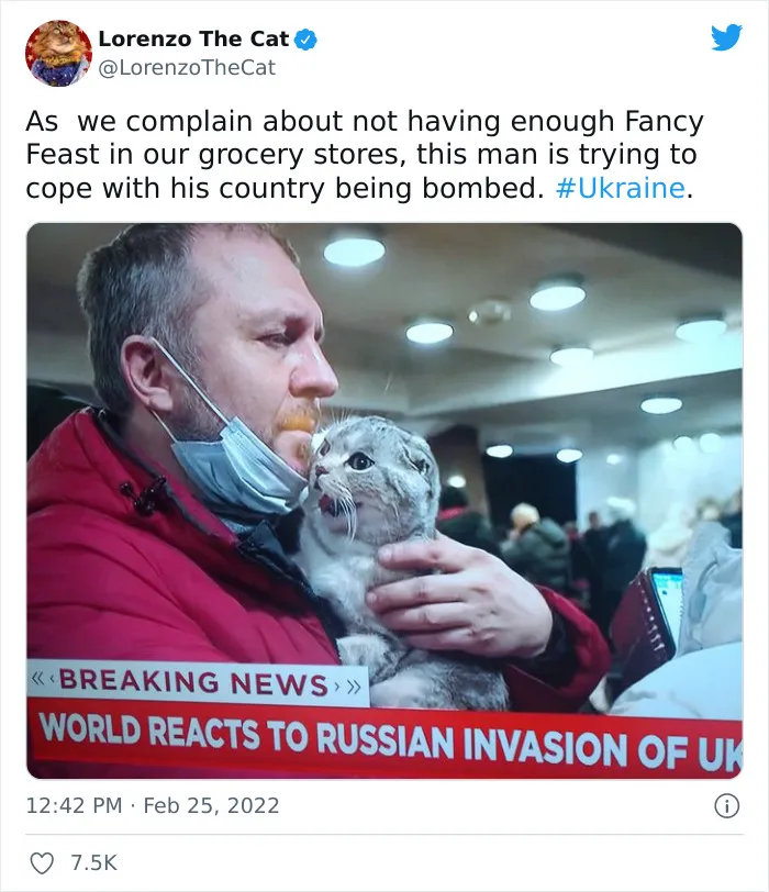 40 Photos Of Ukrainian Folks With Their Pets Amidst The War, Proving Just How Strong Human-Pet Love Can Really Be