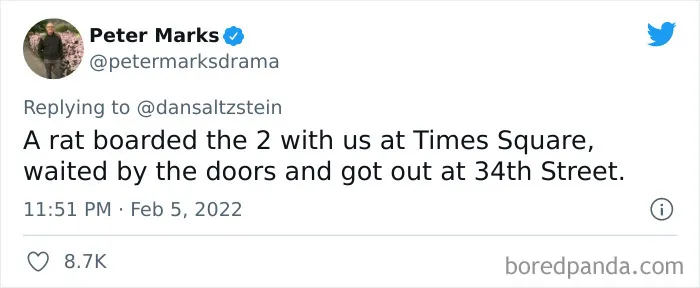 30 New Yorkers Share The Most Wholesome, Weird, And Disturbing Experiences That Happened To Them In New York