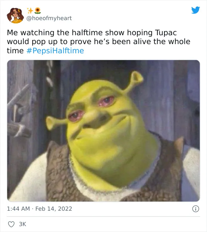 Super Bowl Halftime Show Once Again Blessed The Internet With The Most Hilarious Reactions, And Here Are 30 Of Them