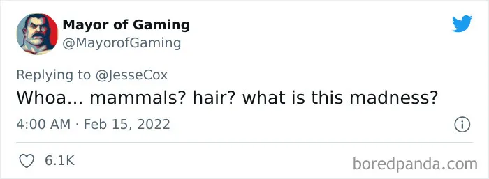 Gamer Doesn't Understand Why Female Video Game Character Has A 'Beard', Gets Schooled With 35 Brilliant Replies