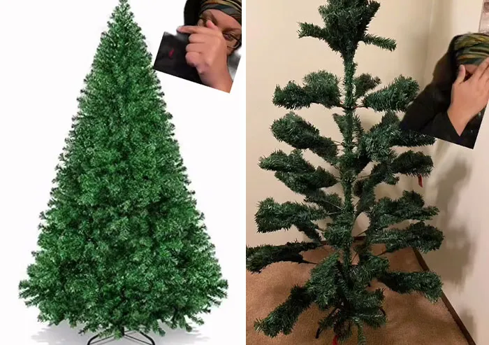 What I Wanted vs. What I Got